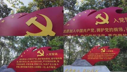 入党宣誓党建红色旗帜高清在线视频素材下载