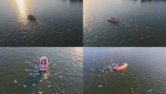 航拍滇池游船与海鸥高清在线视频素材下载