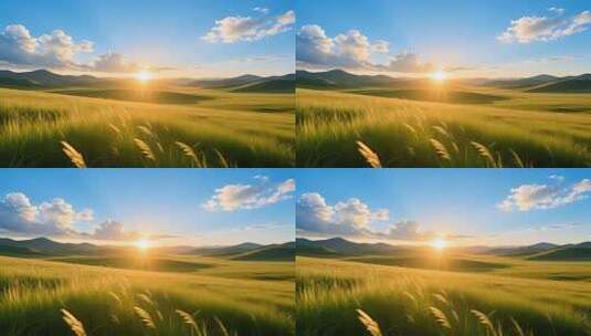 草原上升起不落的太阳4K高清在线视频素材下载