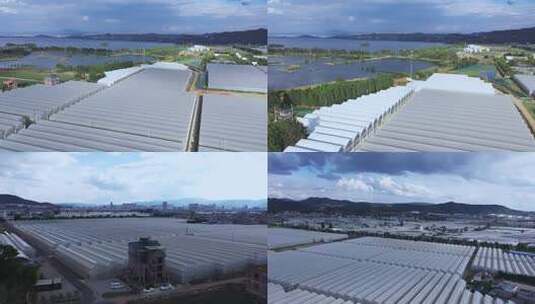联栋温室大棚 乡村振兴 现代农业高清在线视频素材下载
