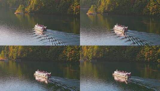 秋天湖上游船航拍高清在线视频素材下载