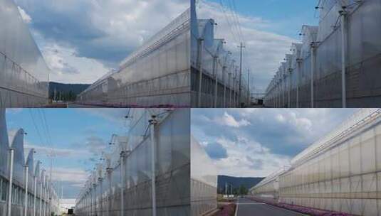 联栋温室大棚  智能温室 农业现代化高清在线视频素材下载