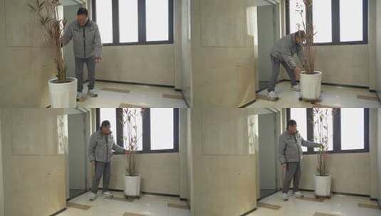男子室内打理盆栽植物高清在线视频素材下载