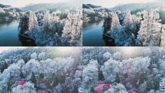 雾凇 森林 雪景高清在线视频素材下载