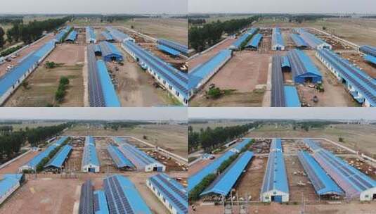 农业养殖场鸟瞰全景高清在线视频素材下载