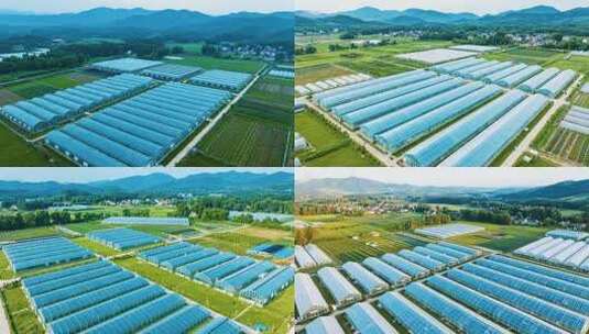 农田蔬菜大棚航拍全景高清在线视频素材下载