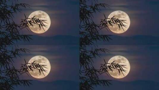 中秋竹影婆娑下的皎洁月光静谧夜空竹林赏月高清在线视频素材下载