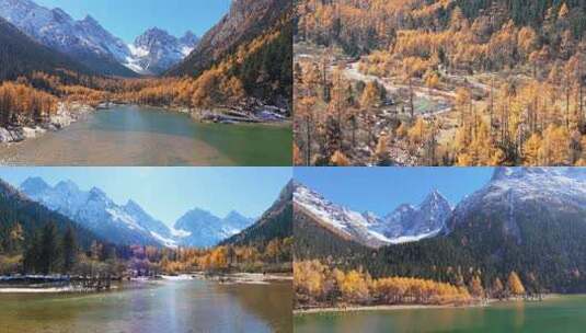 川西毕棚沟秋天景色合集高清在线视频素材下载