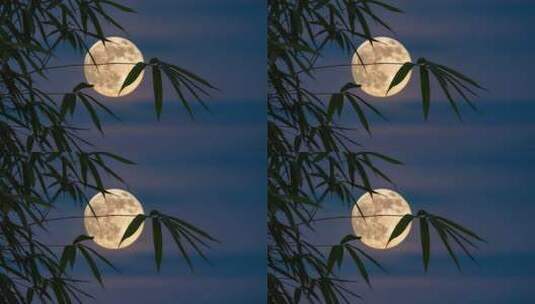 中秋竹影婆娑下的皎洁月光静谧夜空竹林赏月高清在线视频素材下载