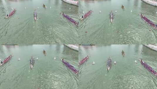 龙舟比赛空中俯瞰画面高清在线视频素材下载
