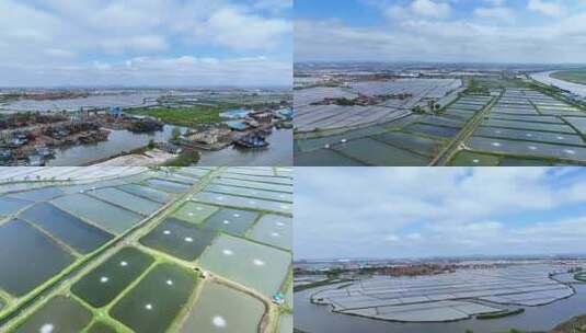 东北水田水产高清在线视频素材下载