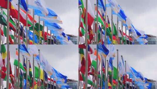 上海第八届 进博会私人飞机展高清在线视频素材下载