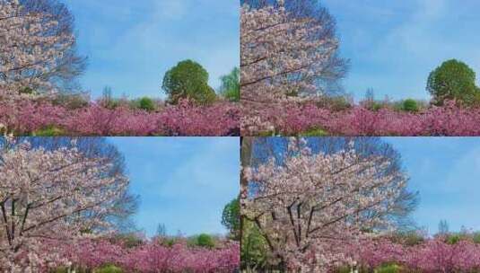 人间仙境，心情浮躁不安的时候，治愈系风景高清在线视频素材下载