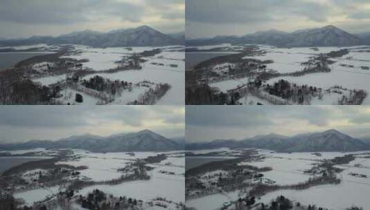 原创 日本北海道雪原自然风光航拍高清在线视频素材下载