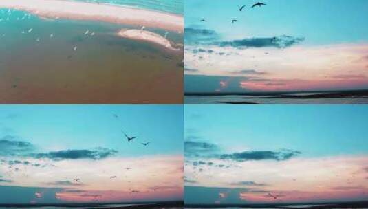 呼伦湖夕阳海鸟航拍高清在线视频素材下载