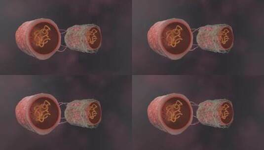 医学病原体病毒病原体病菌细菌医学三维动画高清在线视频素材下载