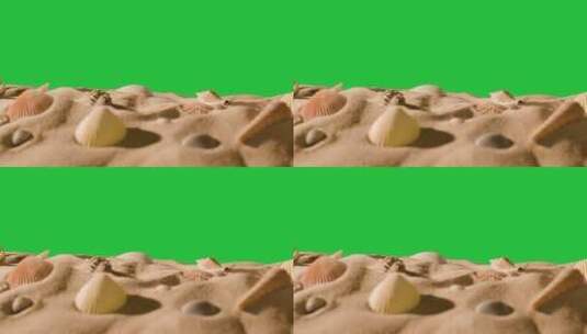 绿幕背景前的贝壳海星高清在线视频素材下载