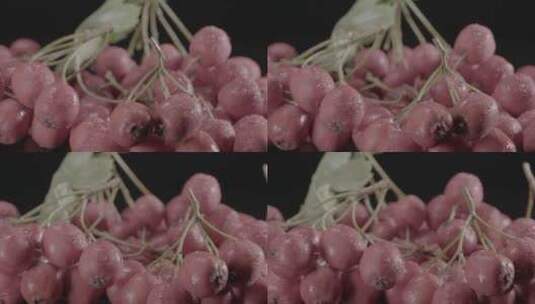山里红山楂LOG视频素材高清在线视频素材下载