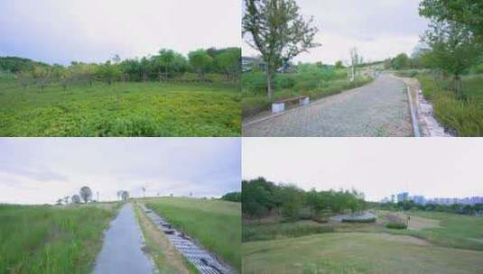 武汉江夏二妃生物公园4K视频合集高清在线视频素材下载