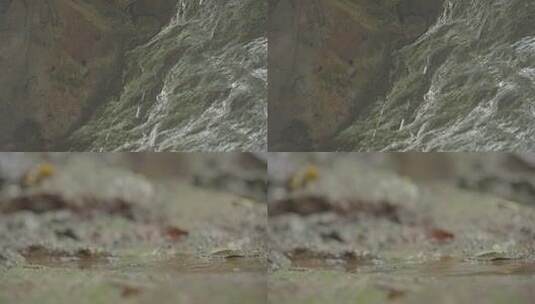 M1崖壁上滴落的雨滴高清在线视频素材下载