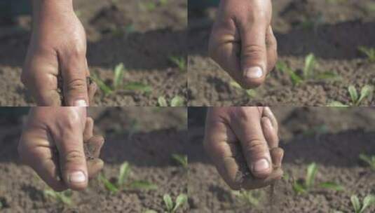 农民捡拾干土的手高清在线视频素材下载