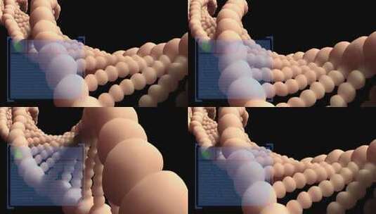 分析DNA结构 法医研究 基因和遗传疾病4K高清在线视频素材下载