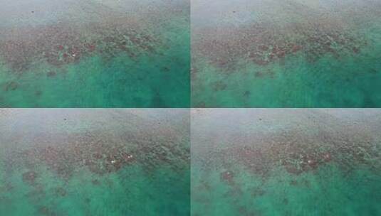 航拍海边礁石滩与浅海珊瑚区高清在线视频素材下载