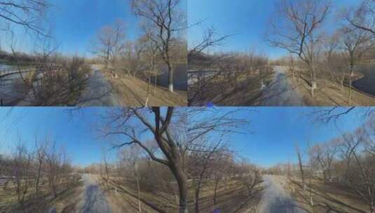 冬日里行走在公园小路上高清在线视频素材下载