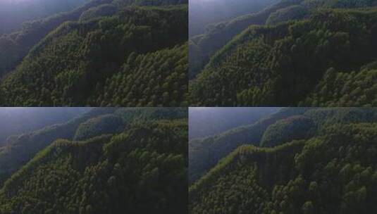 航拍大山风景森林林场早晨阳光美丽自然素材高清在线视频素材下载