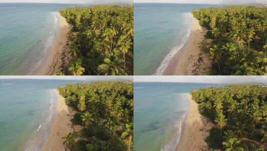 热带海滩航拍高清在线视频素材下载