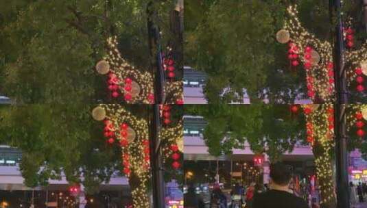 长宁路树上的路灯高清在线视频素材下载