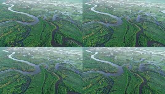 航拍内蒙古“亚洲第一湿地”根河湿地风光高清在线视频素材下载