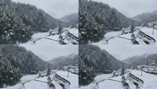 雪景 踏雪进山 雪中行 大雪高清在线视频素材下载