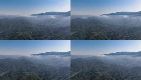 云海山川森林大山风景云海云雾高清在线视频素材下载