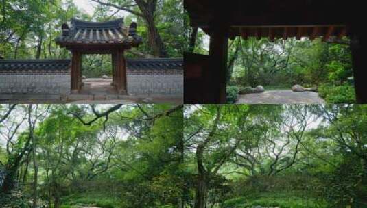 广州 越秀公园 古建筑 中式 园林 庭院 门楼高清在线视频素材下载