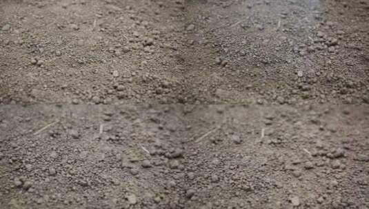 沙土土壤高清在线视频素材下载