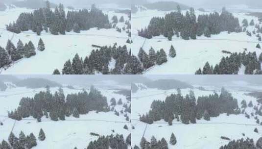 西藏林芝鲁朗林海雪原冬天乡村雪景风光航拍高清在线视频素材下载