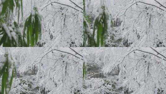 湖南长沙岳麓山雪景实拍视频高清在线视频素材下载