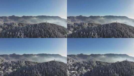 庐山雪后初霁森林航拍高清在线视频素材下载