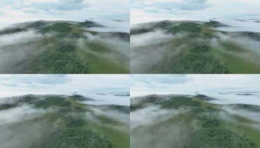 云雾森林云海高清在线视频素材下载