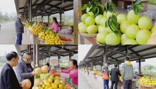 柑橘 水果市场 柚子 买水果小贩 柑橘产地高清在线视频素材下载