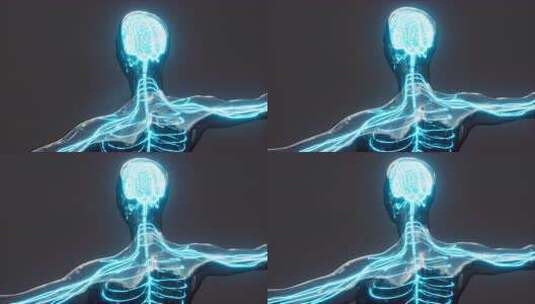 脊髓神经能量脉冲进入大脑高清在线视频素材下载