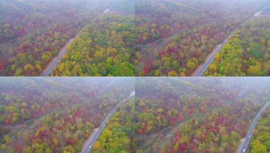 航拍吉林拉法山国家森林公园蛟河红叶谷秋景高清在线视频素材下载