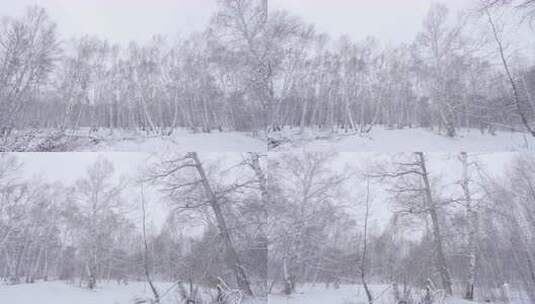 冬日白雪覆盖的树林景观高清在线视频素材下载