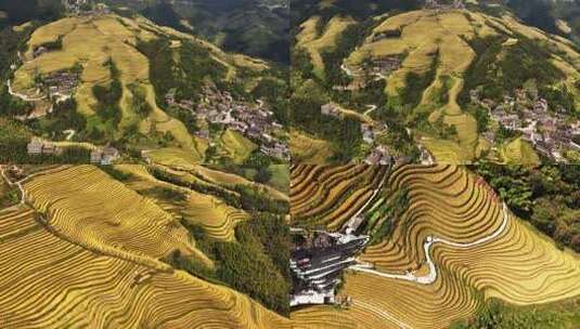 俯瞰梯田自然风光高清在线视频素材下载