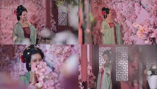 古装女子赏桃花 古风汉服高清在线视频素材下载