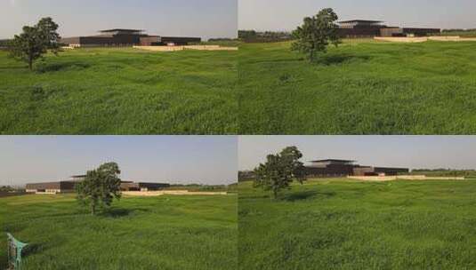 二里头夏都遗址博物馆高清在线视频素材下载