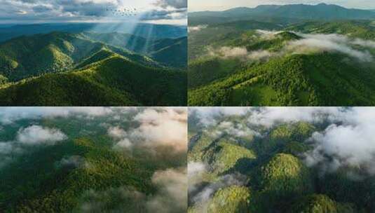云雾气森林航拍阳光清新大自然生态树林河流高清在线视频素材下载