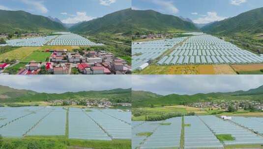 大棚种植高清在线视频素材下载