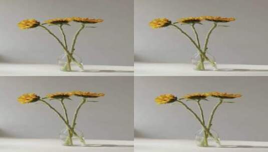 三支向日葵插在花瓶里高清在线视频素材下载